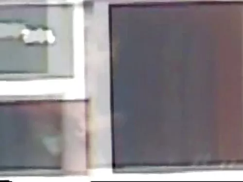 عكس راعية البقر جنس  ...