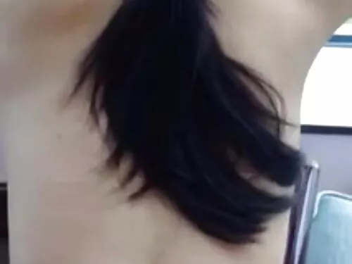 مشهد الحمام المحافظ  ...
